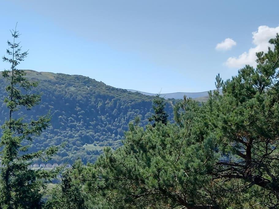 Tan Y Coed'S Rosemary Cabin Conwy Εξωτερικό φωτογραφία