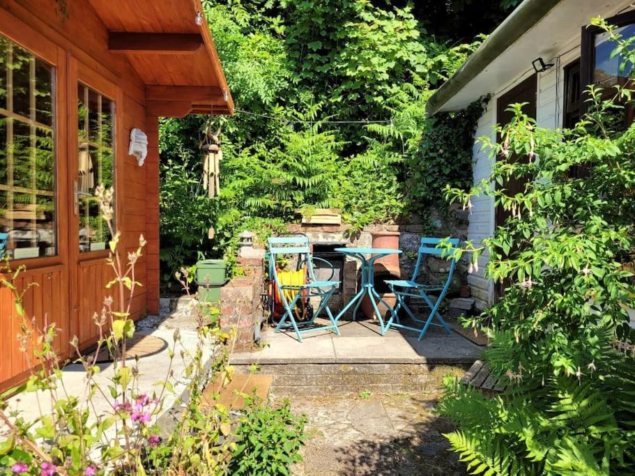 Tan Y Coed'S Rosemary Cabin Conwy Εξωτερικό φωτογραφία