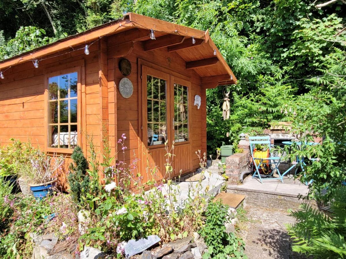 Tan Y Coed'S Rosemary Cabin Conwy Εξωτερικό φωτογραφία