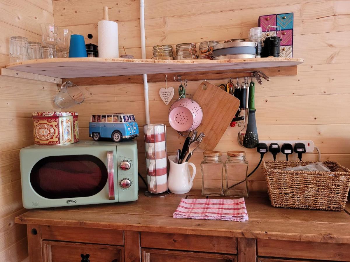 Tan Y Coed'S Rosemary Cabin Conwy Εξωτερικό φωτογραφία