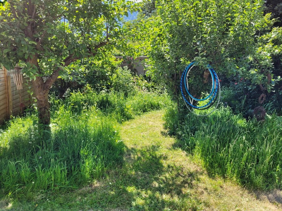 Tan Y Coed'S Rosemary Cabin Conwy Εξωτερικό φωτογραφία